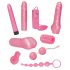 You2Toys - Rosa - Vibrator-Set (9-teilig) 