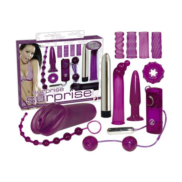 You2Toys - Erotische Überraschungen - Vibrator Set (12 Stück) 