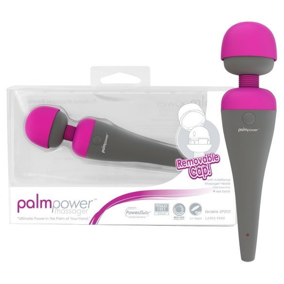 PalmPower Vibrator mit wechselbarem Kopf