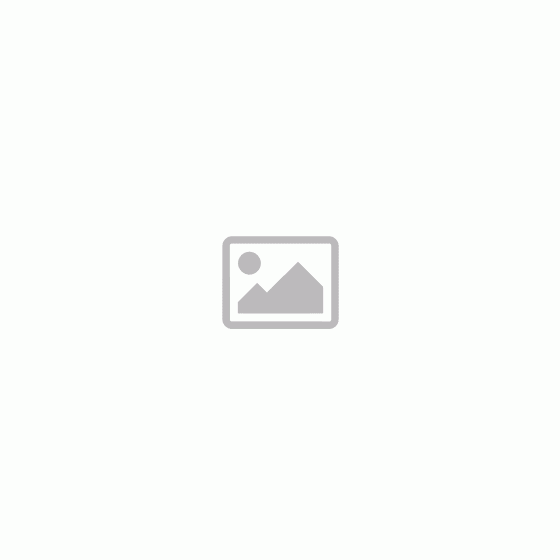 Cottelli Plus Size - Glänzende Spitzenkleid (Schwarz)