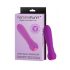 FemmeFunn Ultra Bullet - Premium Stabvibrator (lila) 