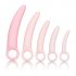 CalExotics Inspire - medizinisches Silikon Vaginaldehner-Set (Pink) 