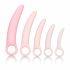 CalExotics Inspire - medizinisches Silikon Vaginaldehner-Set (Pink) 