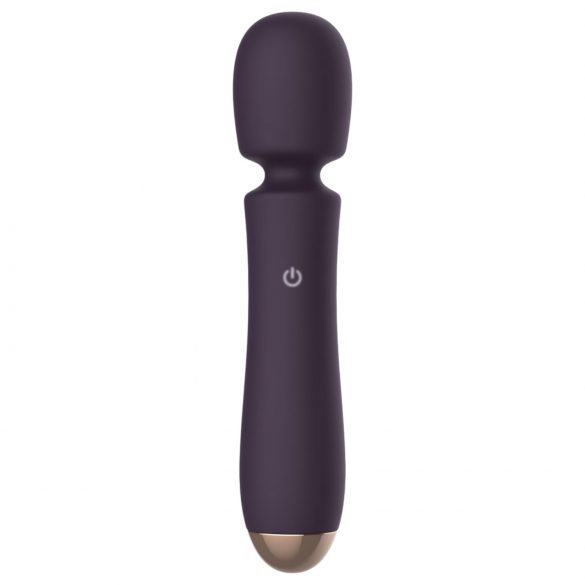 Raytech - aufladbarer, wasserfester Massagenvibrator (Lila) 