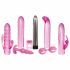 Evolved Intense - Vibrator-Set - 8-teilig (Pink)