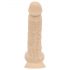 Real Fantasy Ashton - Hoden, lebensechter Dildo - 20,5cm (natur)