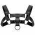 Schlafzimmer Fantasien Bruno - Oberkörper Harness (Schwarz) - S-XL 