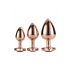 Gleaming Love - Herzförmiger Anal Kegel Dildo Set - Roségold (3-teilig) 